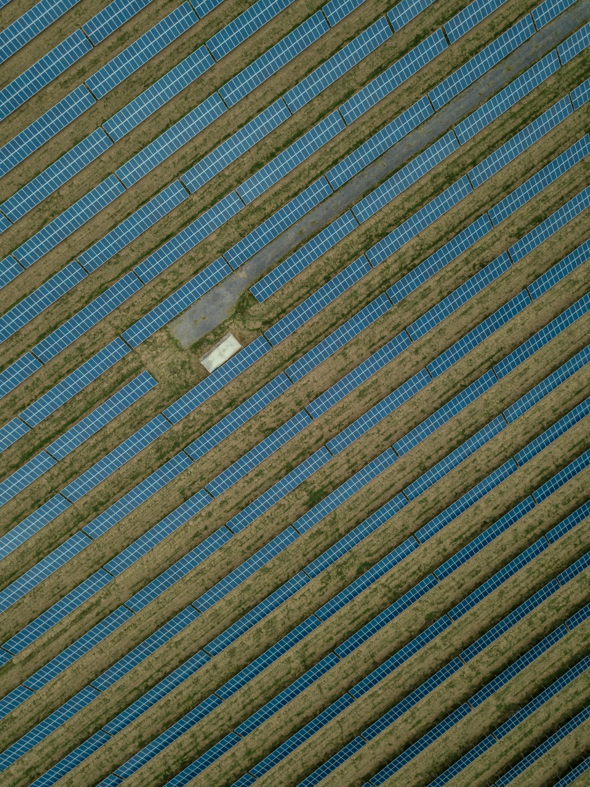 photo of a solar farm from above